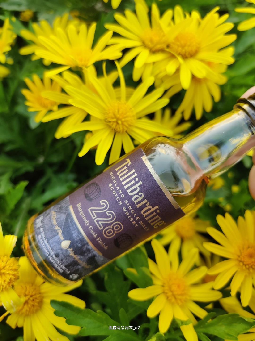 图里巴丁勃艮第桶228