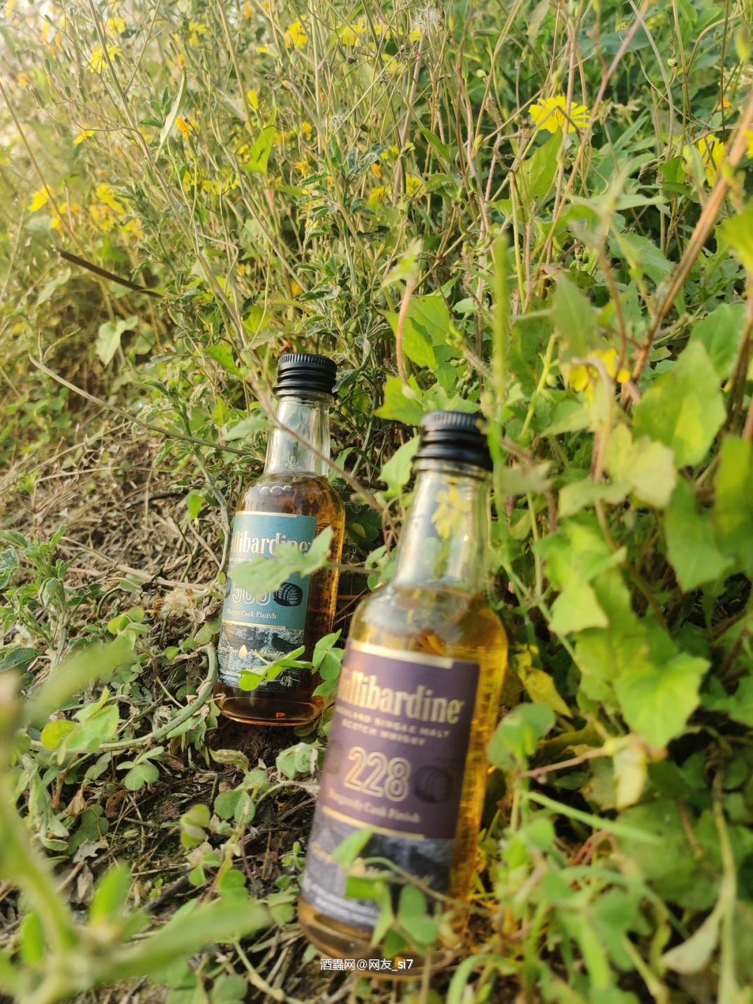 图里巴丁勃艮第桶228