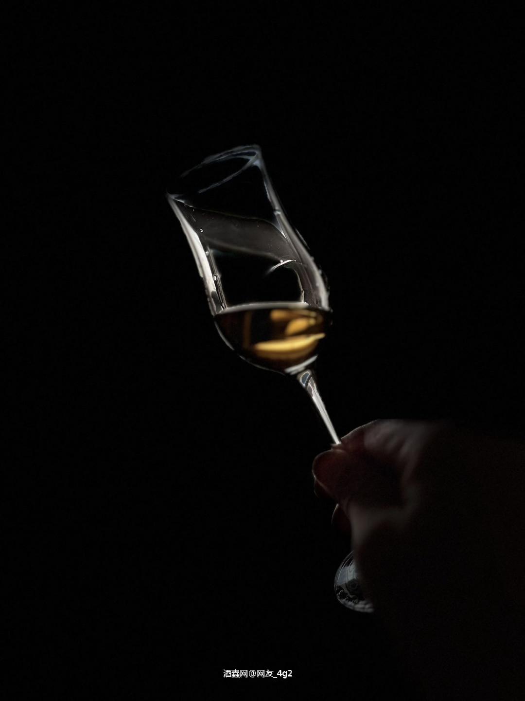 幽灵古堡12年调和