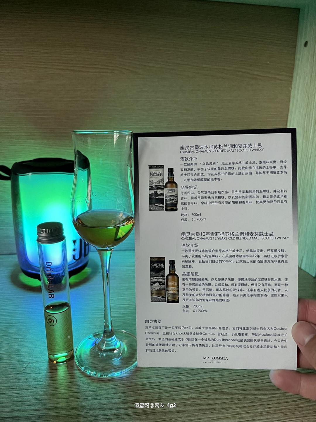 幽灵古堡12年调和