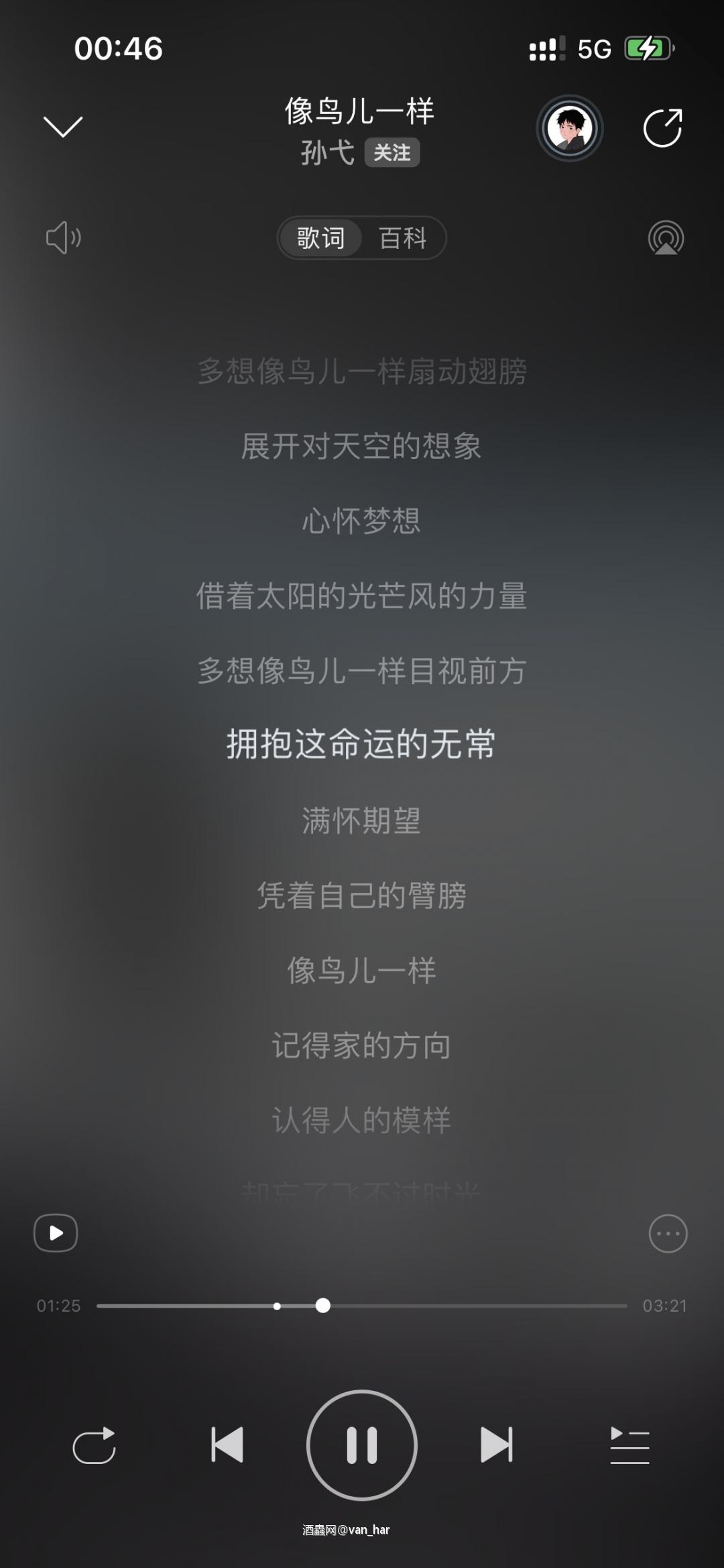 想像鸟儿一样飞翔