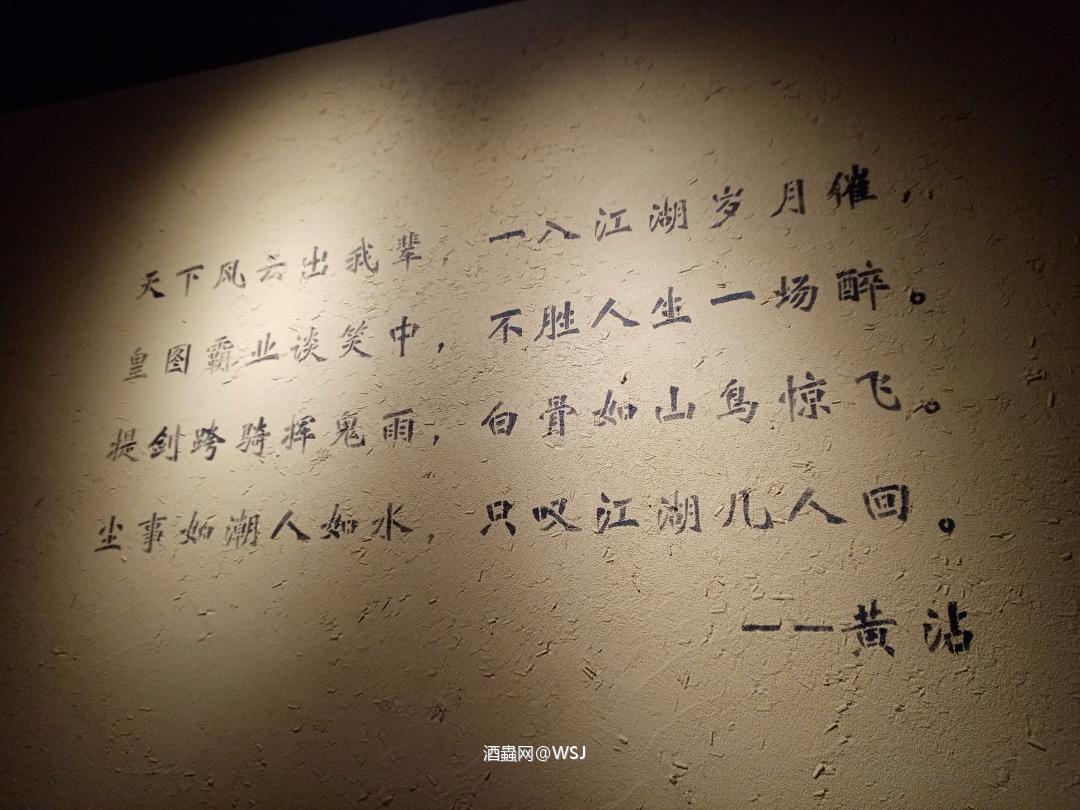 一入江湖深似海，回首雅柏小怪兽。