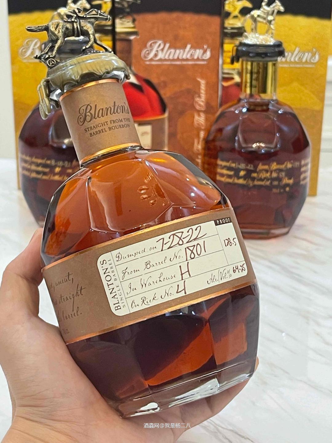 假如我有八百波兰顿家族骑兵？？