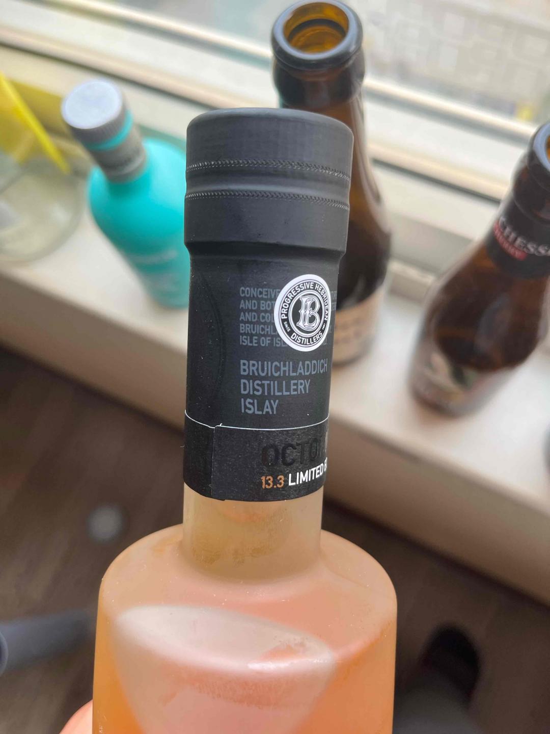 布赫拉迪泥煤怪兽13.3