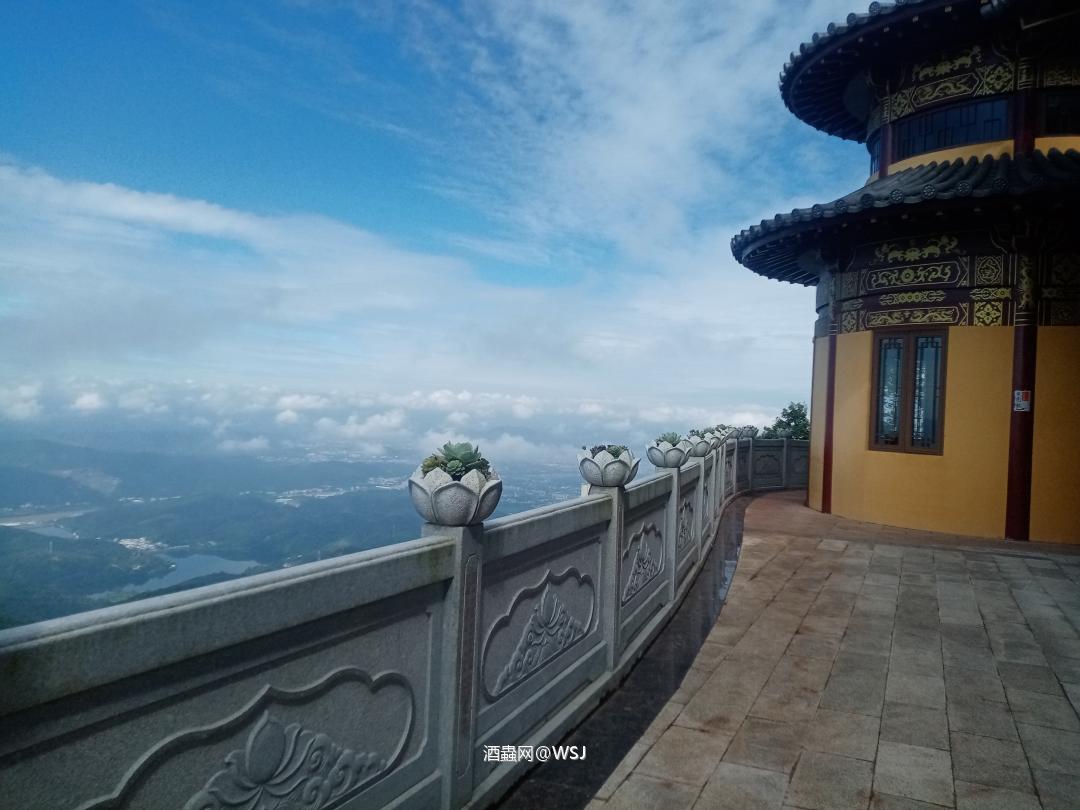 艾伦博帝佳雪莉桶强,实在太烈了。