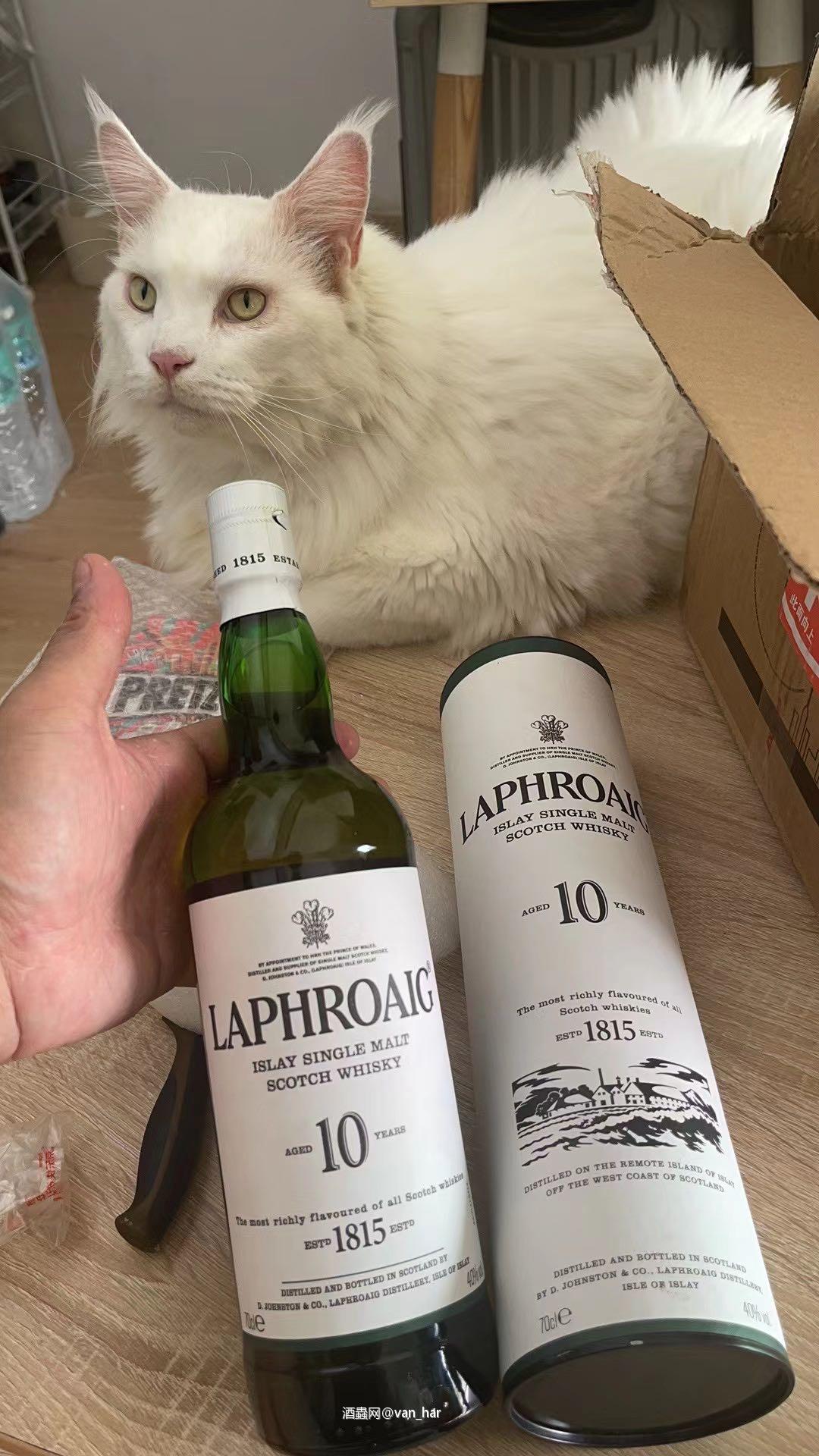 酒与🐱