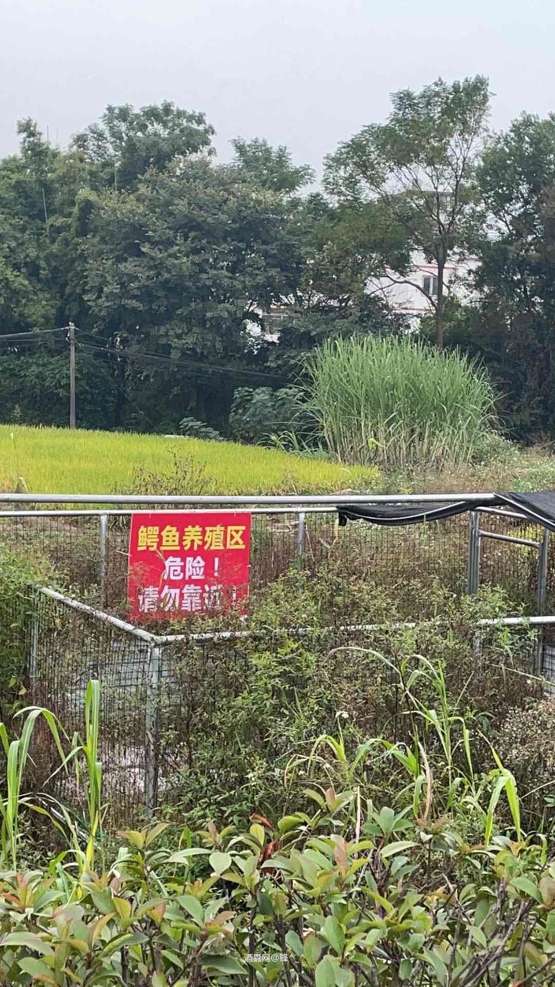 搞条下酒<img src='https://sdata.whiskyworm.com/xcxpics/emoji_14.png' class='emoji' />