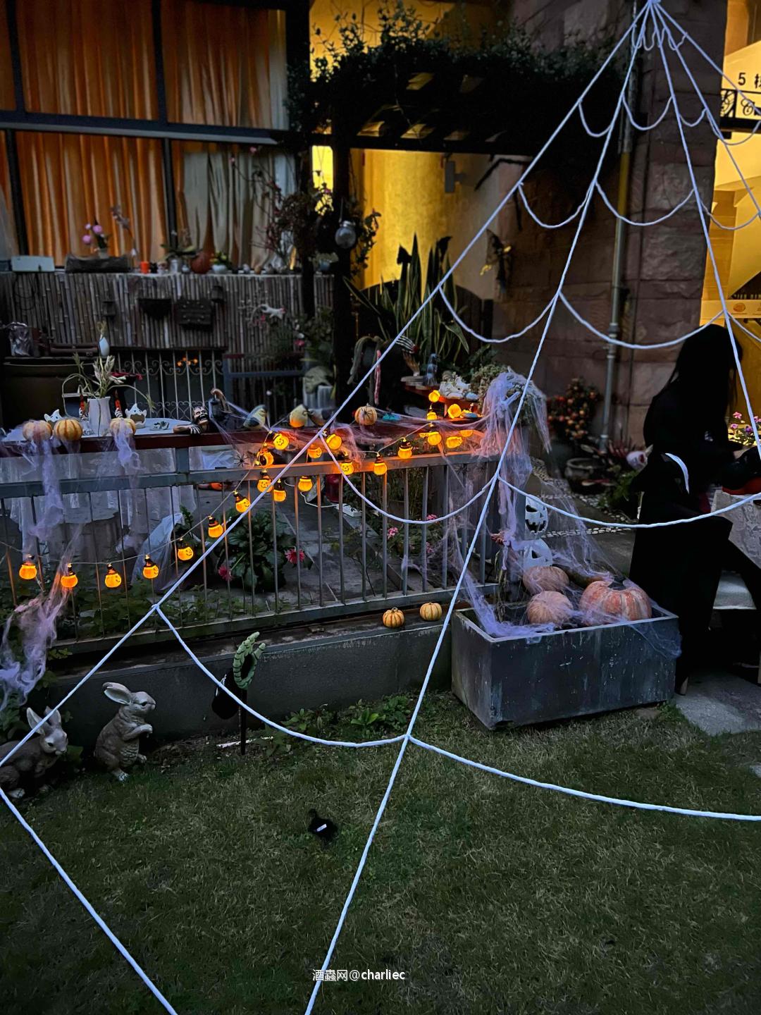 优雅万圣节🎃