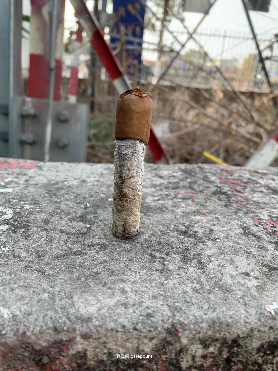 小可爱