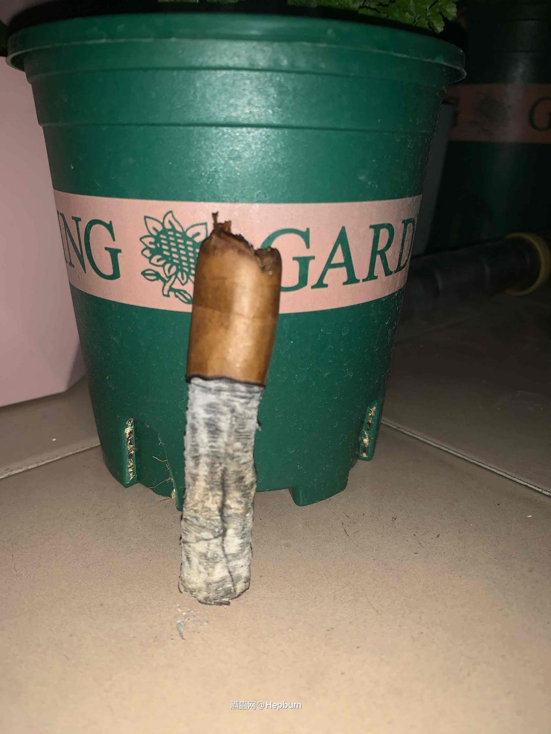 灰根小国粹