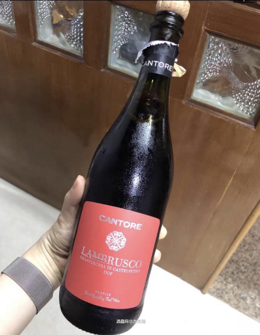这是一款自己喜爱的酒,是便宜好喝lambrusco,一种意大…