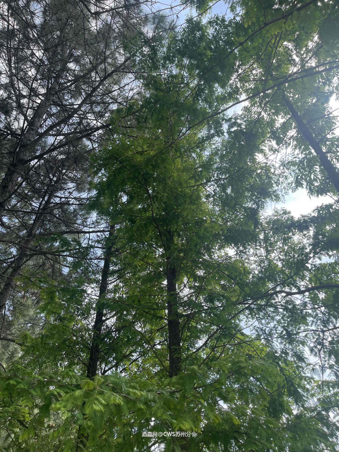 今日不聊酒系列之运动日