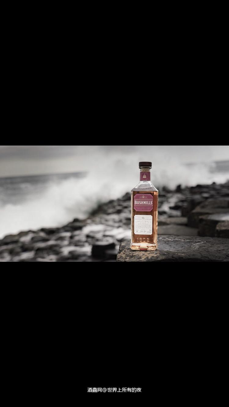 布什米尔Bushmills 16年