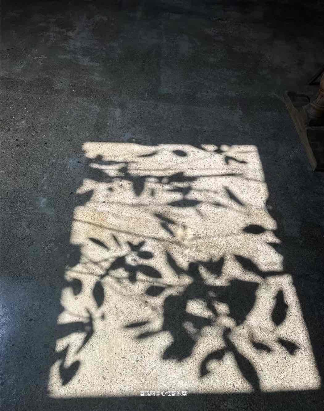 【搜索历史价格】这个功能取消了吗