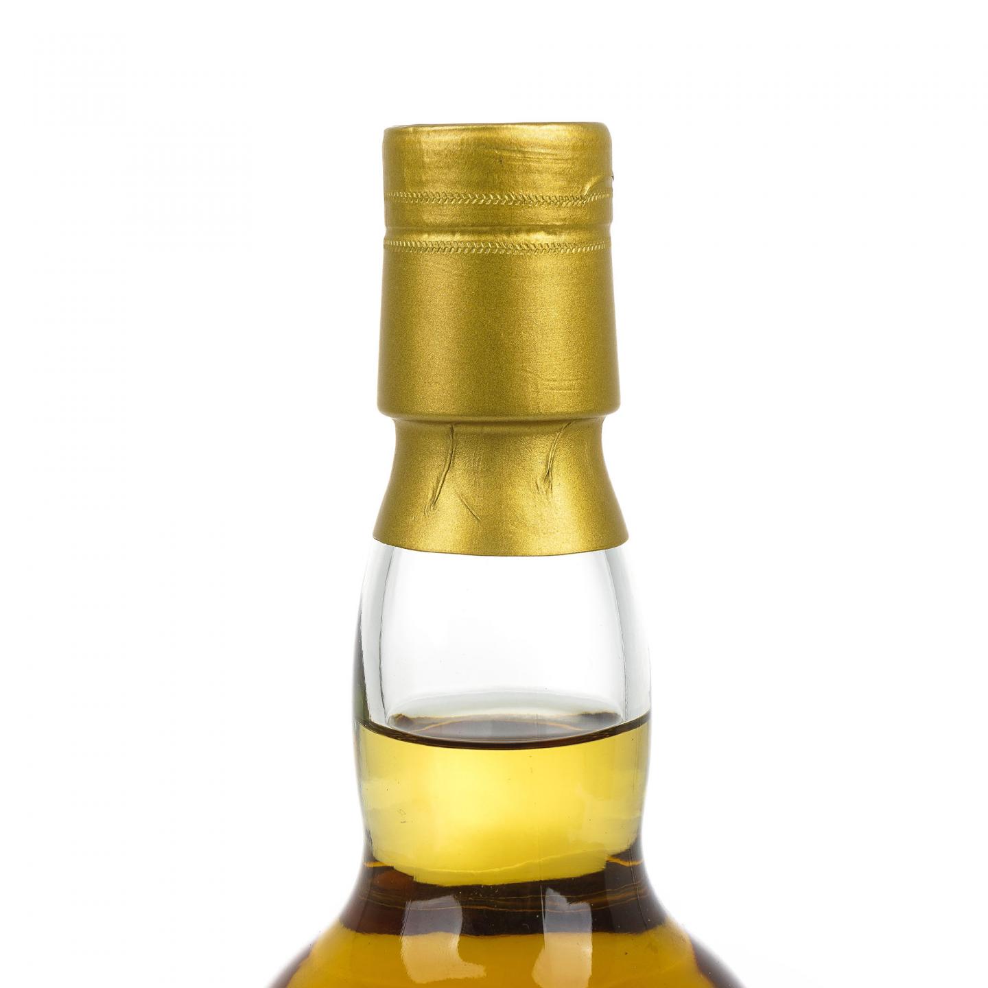 Wardhead 22年 2020 汤匙桶