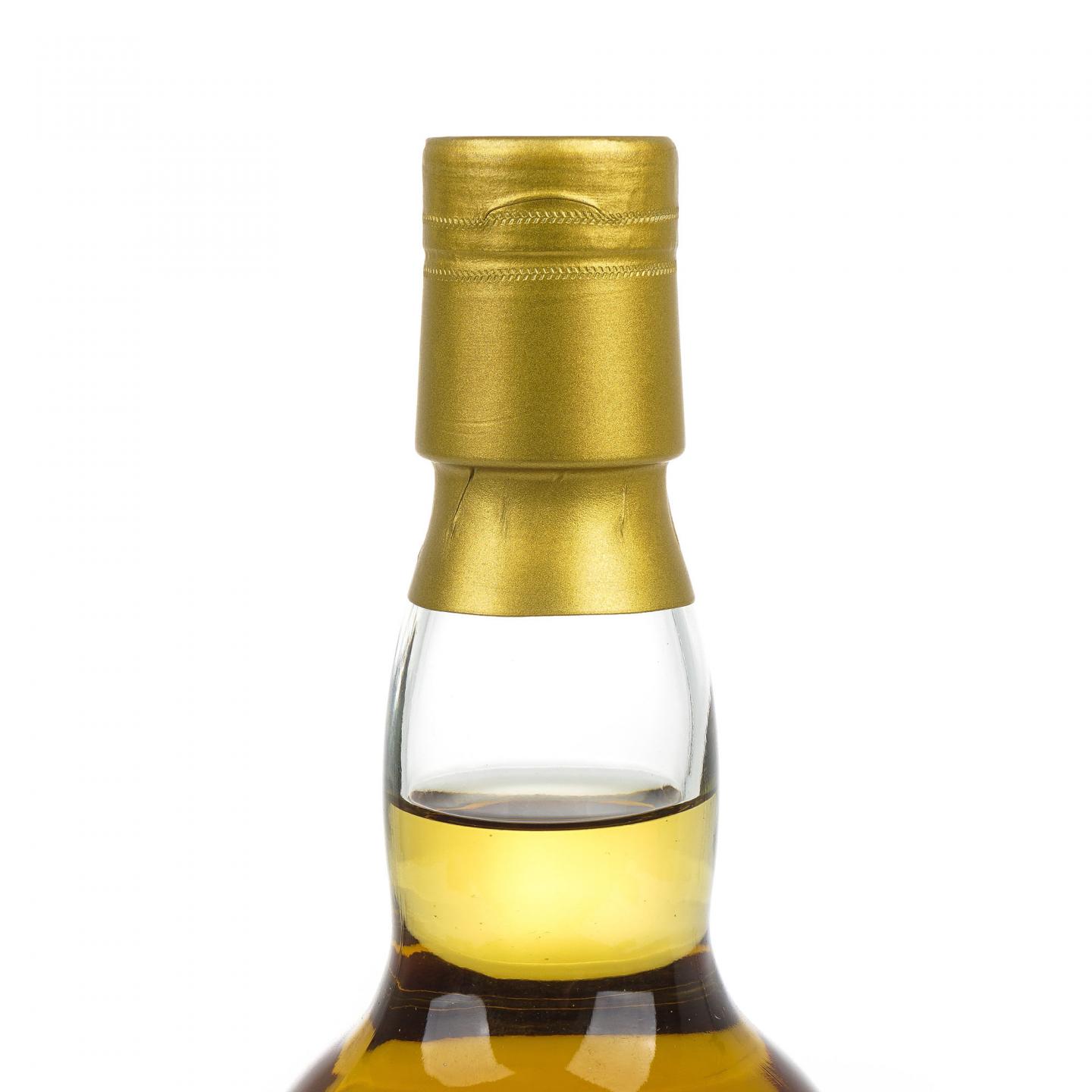 Wardhead 22年 2020 汤匙桶