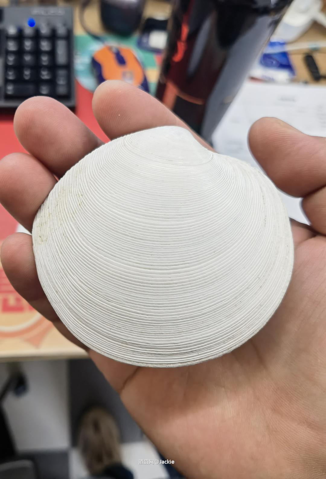 随酒送大贝壳