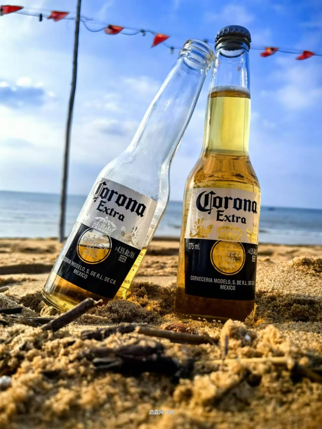 十一月度假⛱️