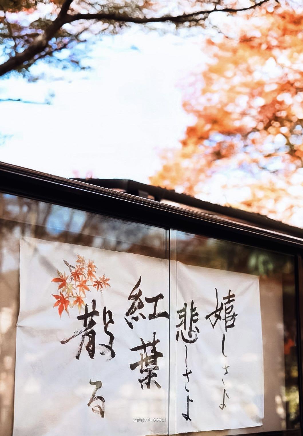 悲喜红叶散