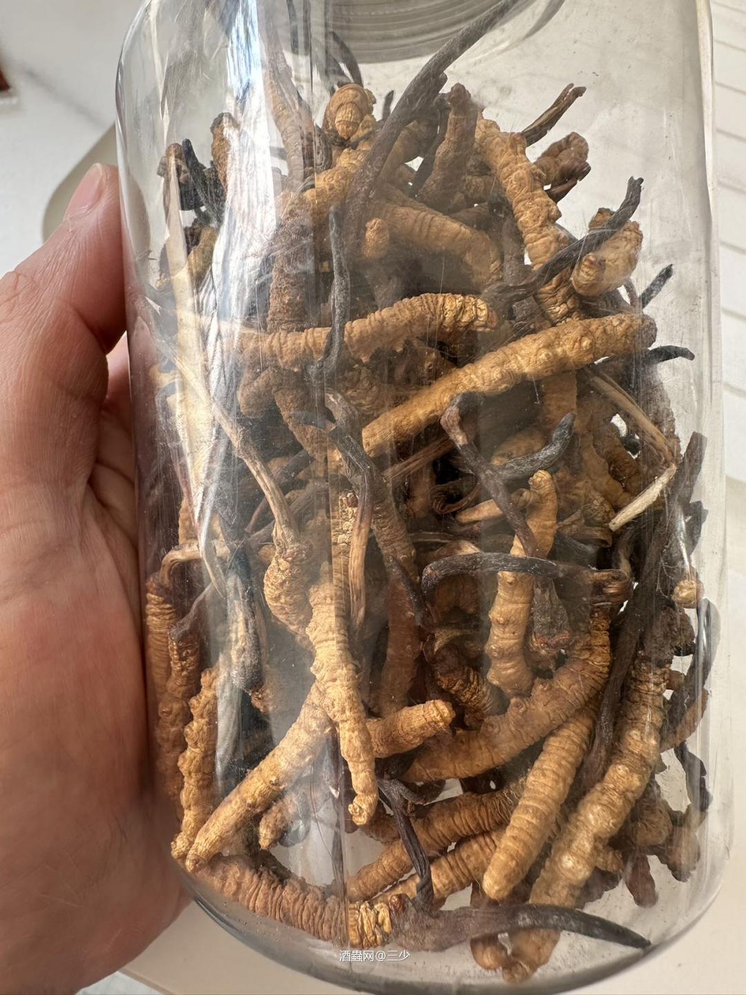 继续喝茶