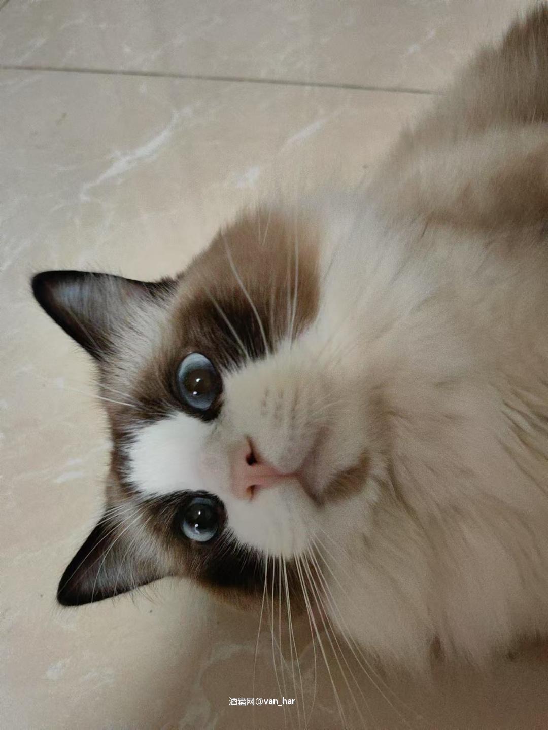 惬意