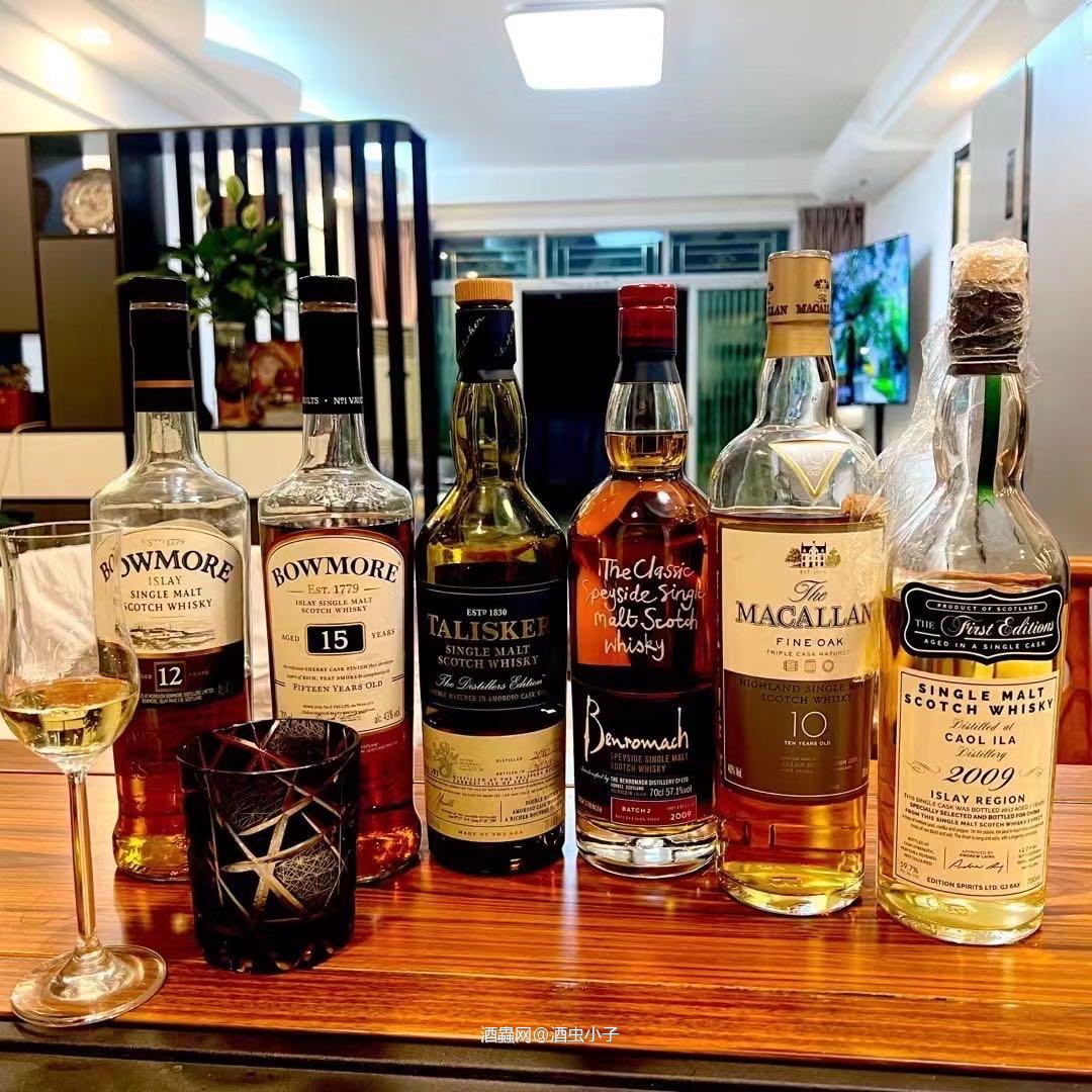 威士忌的世界，犹如一个五彩斑斓的调色盘，每一款威士忌都有其独特的色彩和味道。从苏格兰的单一麦芽到日本的和风细腻，从美国的波本到爱尔兰的柔和顺滑，威士忌的品质之选，不仅在于其原料和工艺的精湛，更在于其能够带给我们的独特体验。在挑选威士忌时，我们不仅要关注品牌，更要关注每一款威士忌的独特口感和风味，找到最适合自己的那一款。