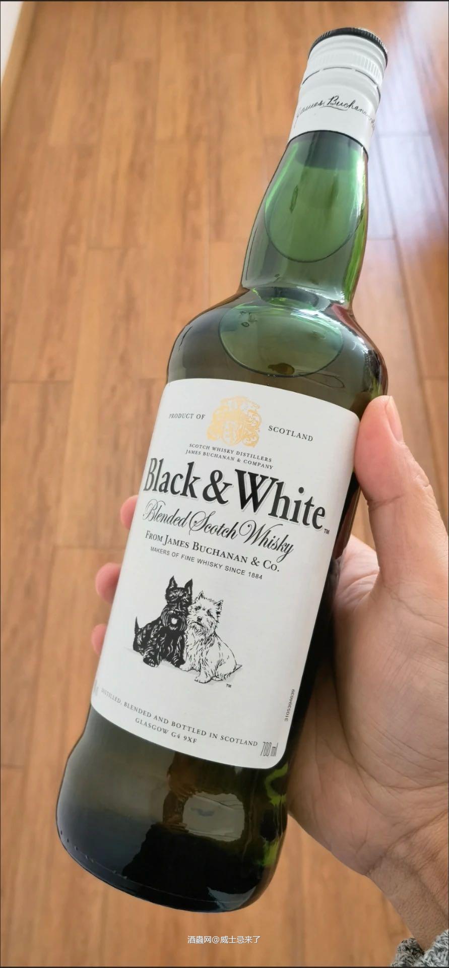 冬至试试黑白狗