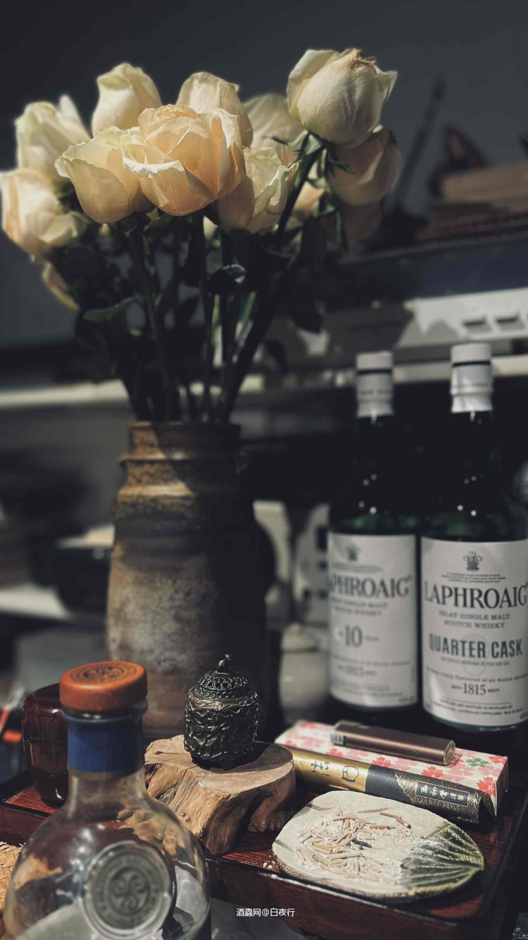 家玫瑰野玫瑰🌹