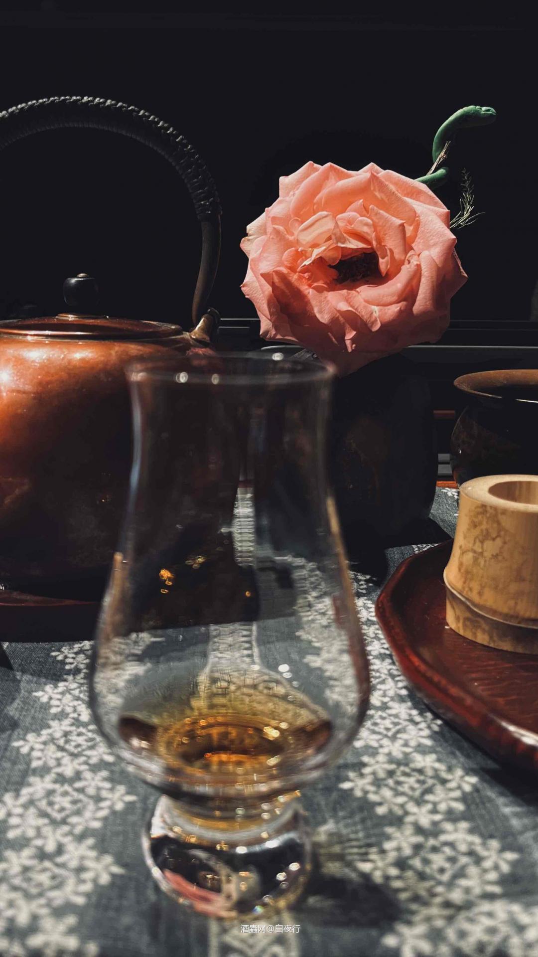 家玫瑰野玫瑰🌹