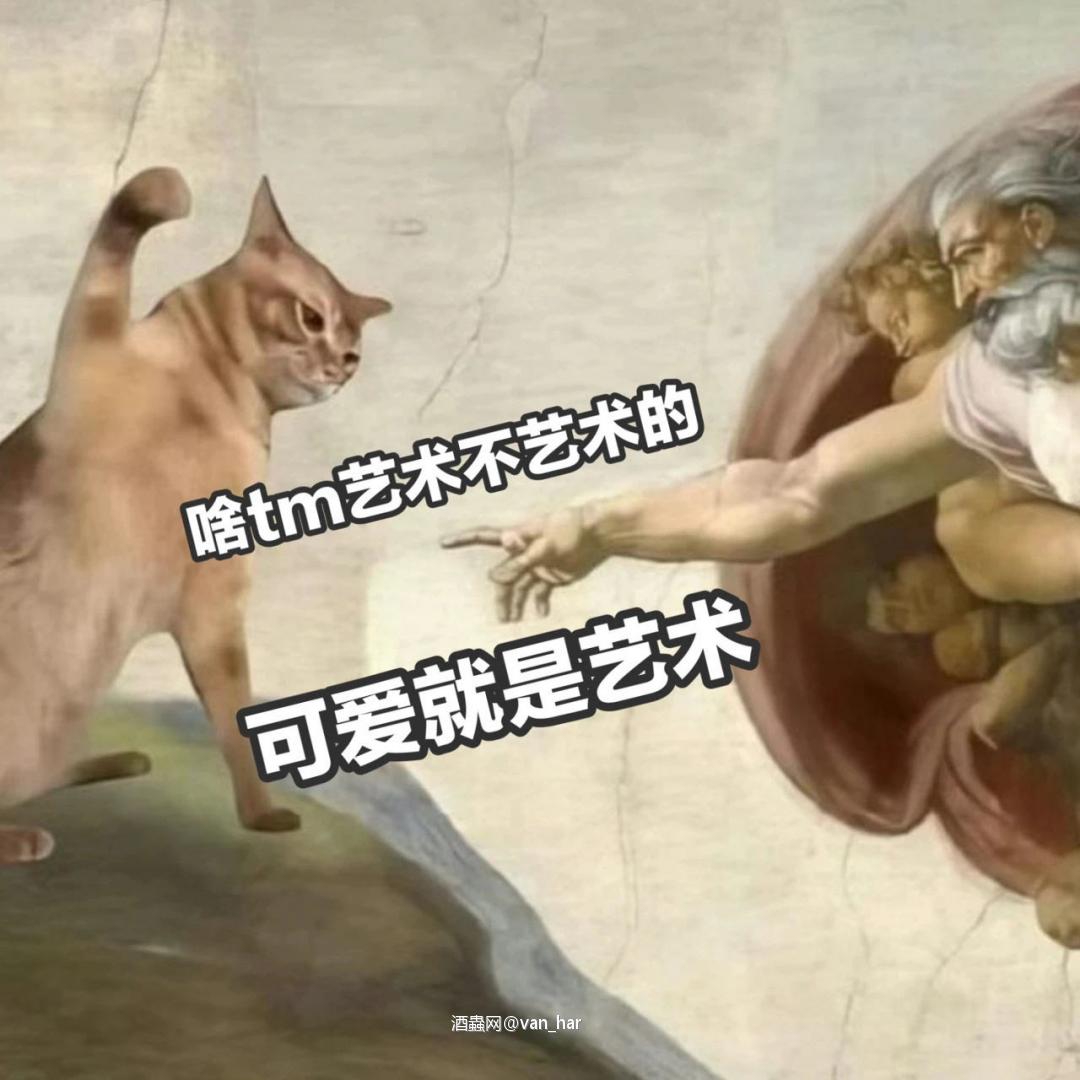 吹笛子的猫