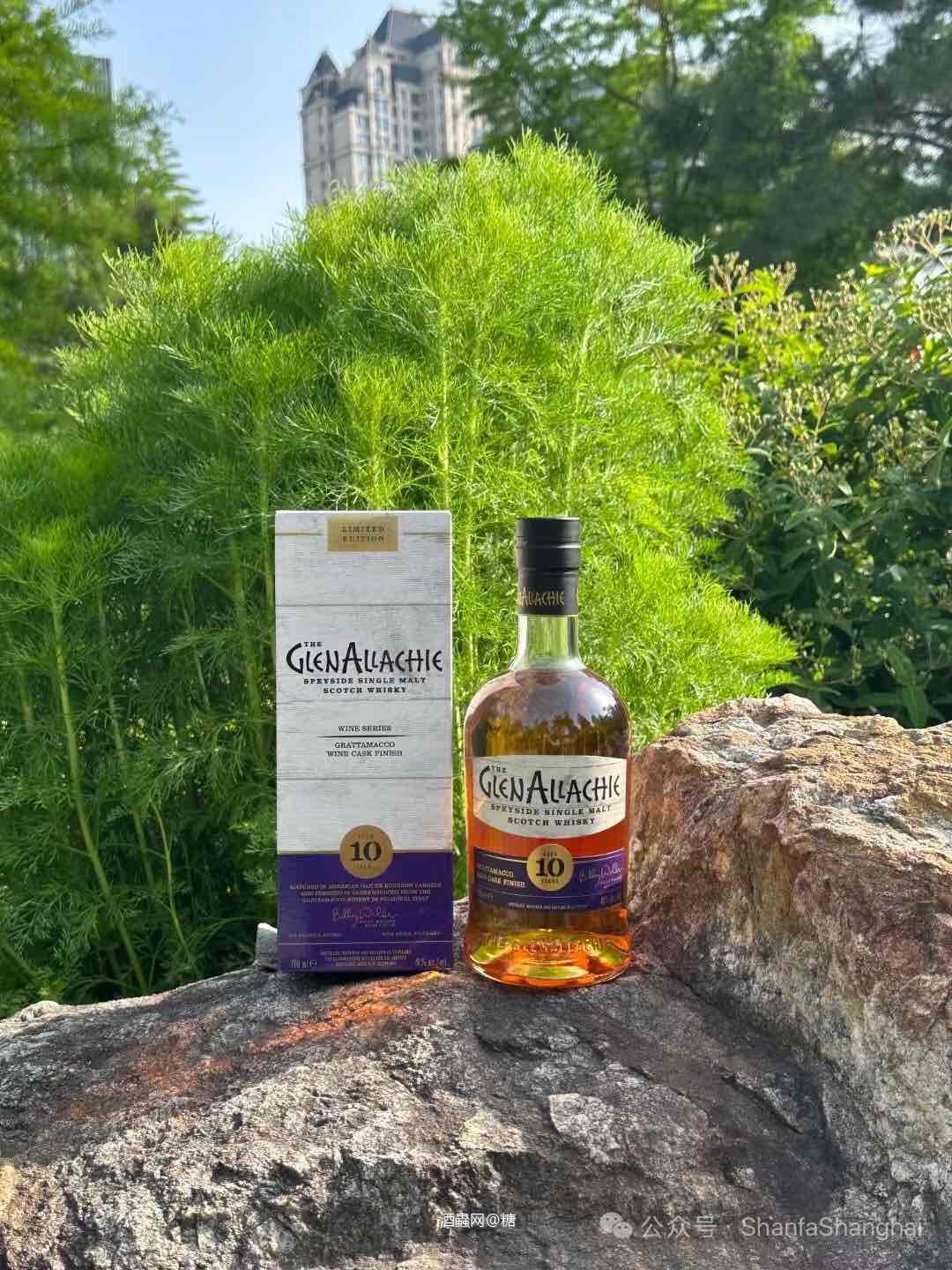 格兰纳里奇10年格拉塔马科酒庄红酒桶换桶