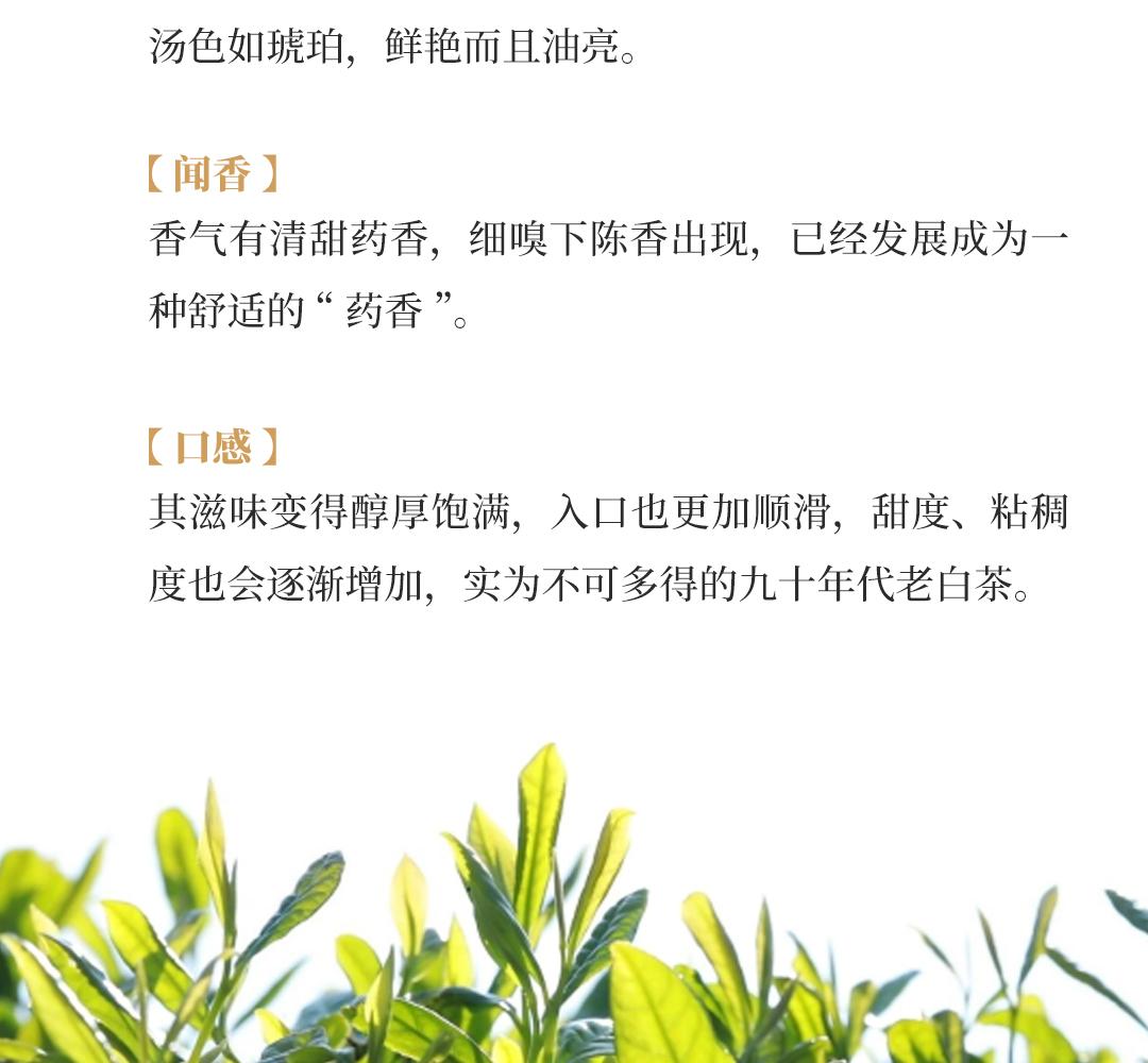 【清甜药香】特级白茶贡眉·上世纪九十年代中茶公司出口金记茶行