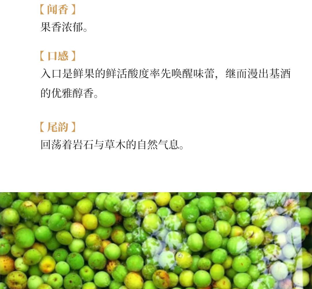 【青梅原酒】MaoLan DangGe 茂兰当歌本格青梅原酒