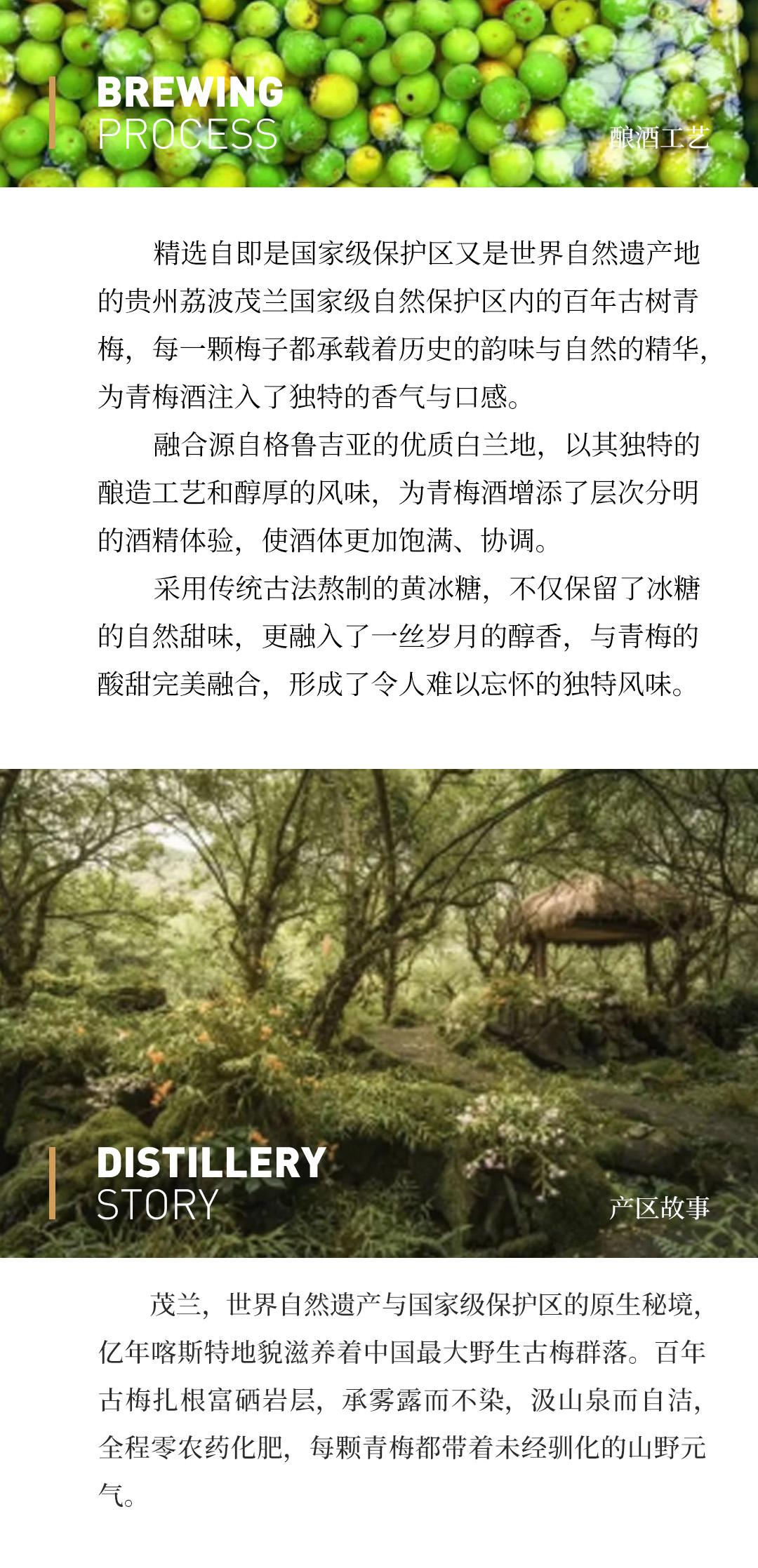 【青梅原酒】MaoLan DangGe 茂兰当歌本格青梅原酒