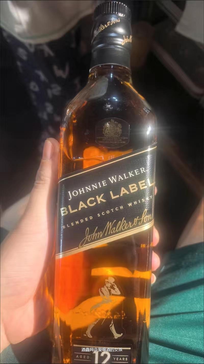 最近在喝的酒款！