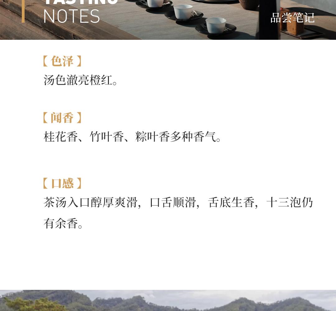 【醇厚爽滑】正岩极品小红袍·2000年武夷山金佛茶叶研究所