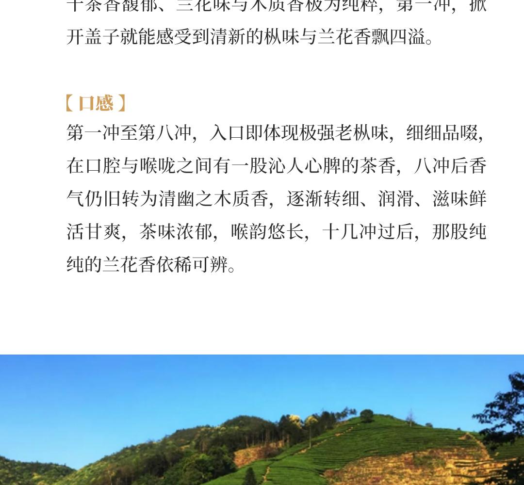 【沁人心脾】正岩水仙·1998年武夷山市茶叶总厂精制