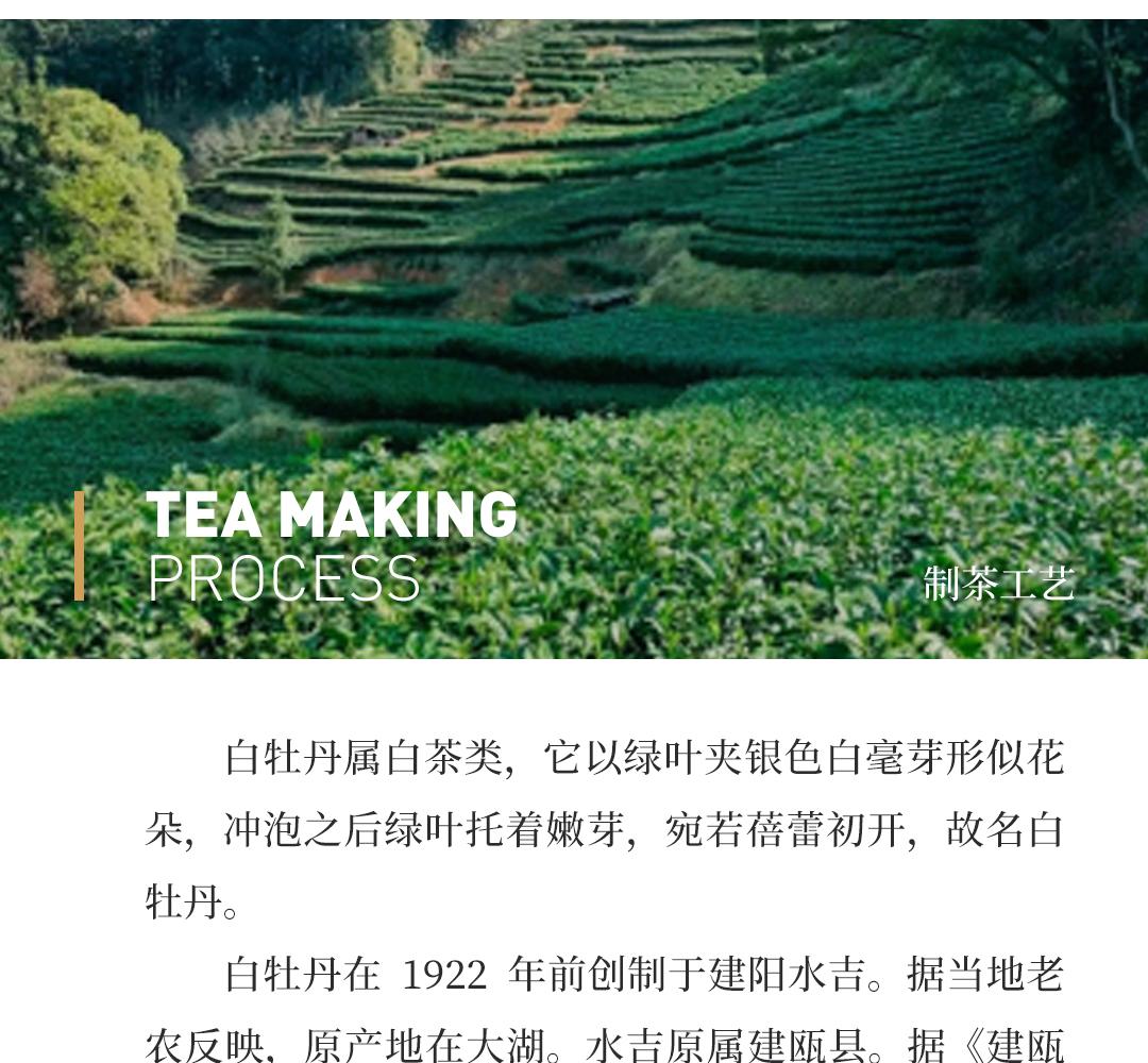 【纯净复合】白牡丹·九十年代福字牌