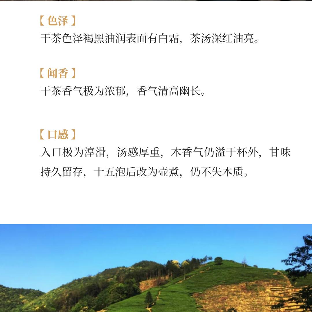 【清高幽长】闽南水仙·九十年代蝴蝶牌