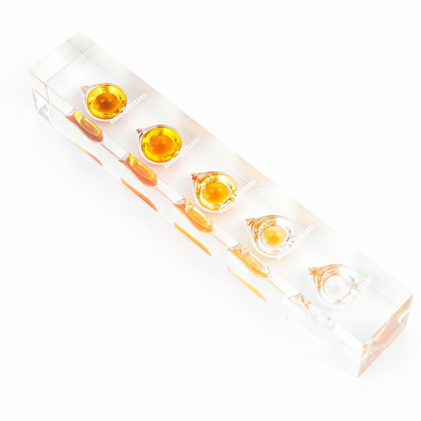 山崎 威士忌展示摆件 含50 25 18 12 0年酒液