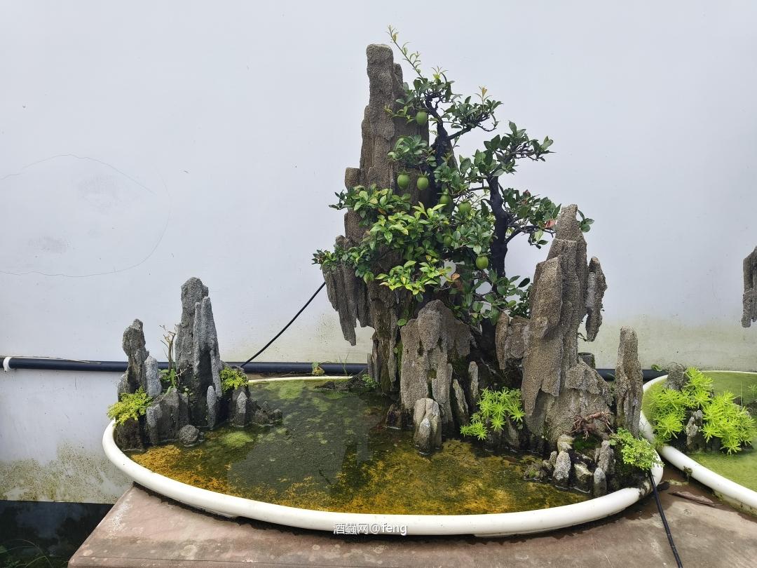 万物皆可玩