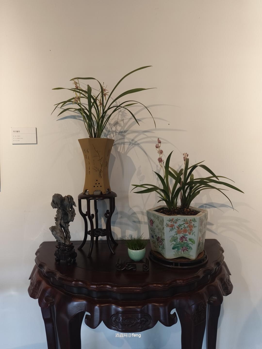 万物皆可玩