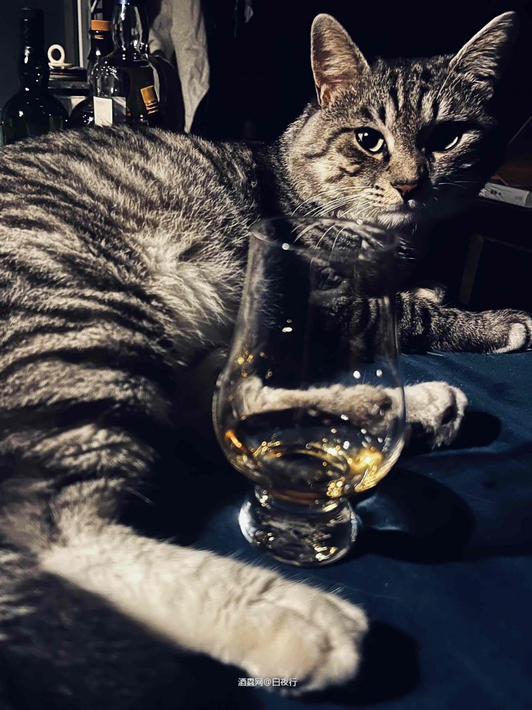 陪我喝酒的天天