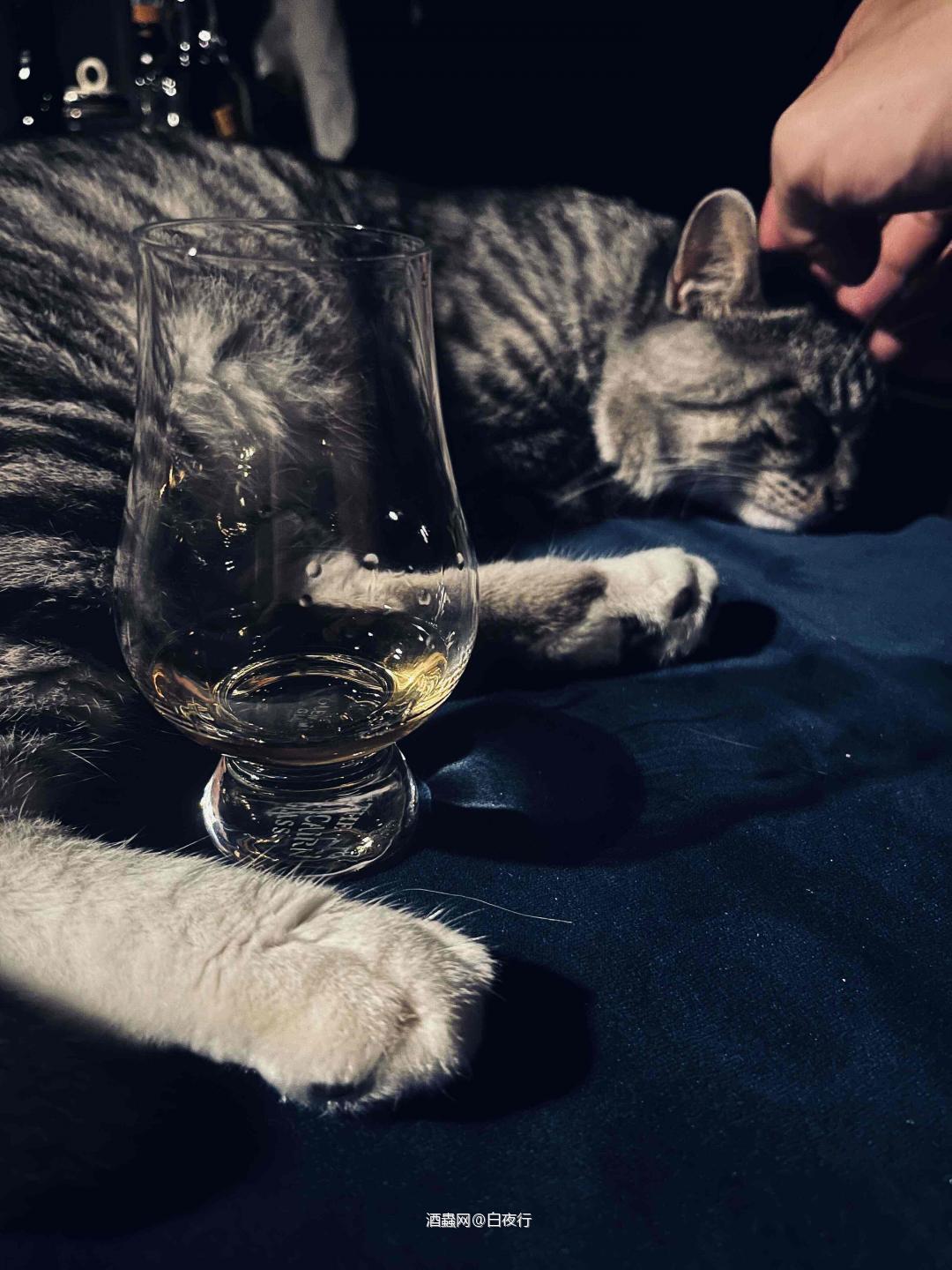 陪我喝酒的天天