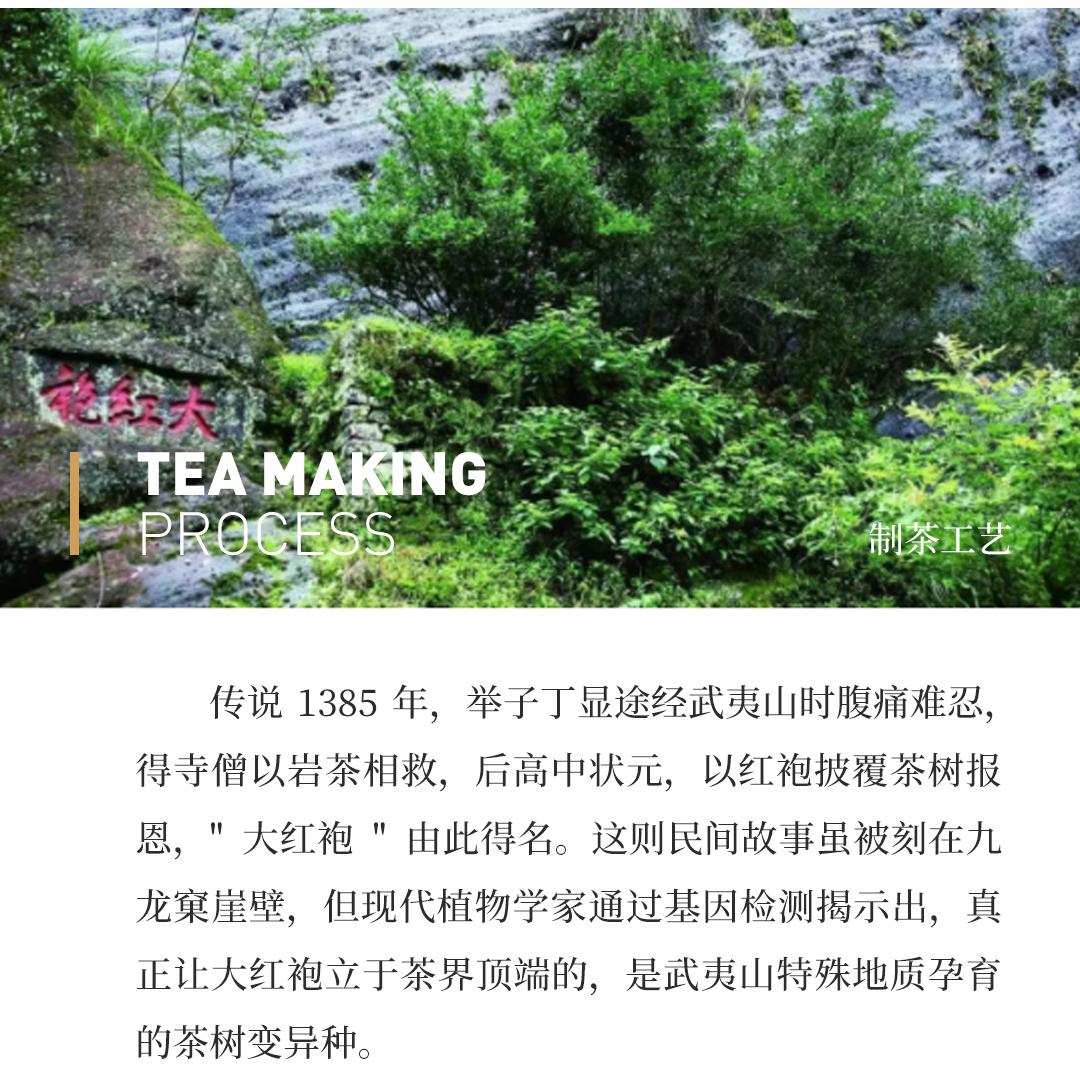 【岩韵极显】极品纯种大红袍·1995年武夷山市茶叶总厂精制