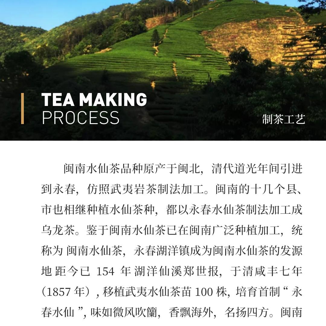 【甘味持久】水仙茶样·国营福建省北硿华侨茶厂