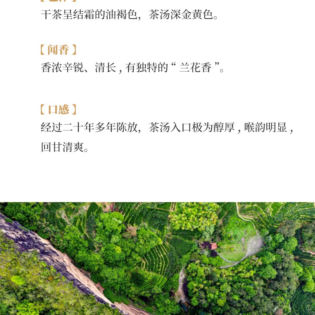 【香浓辛锐】武夷水仙·九十年代末宜丰茶厂出品