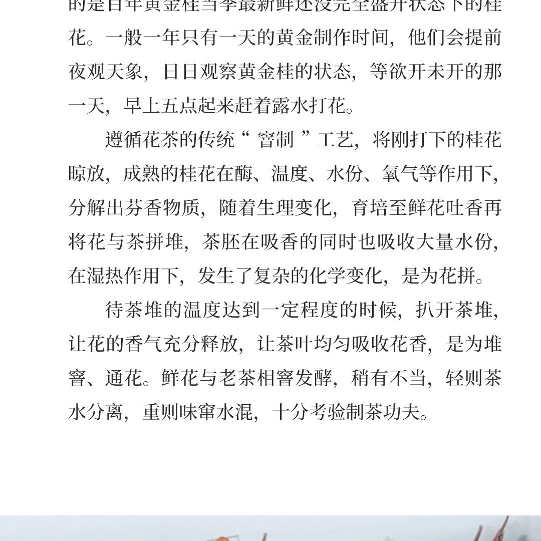 【樨香无隐】梅记·桂花老铁陈年铁观音老乌龙茶典藏版礼盒