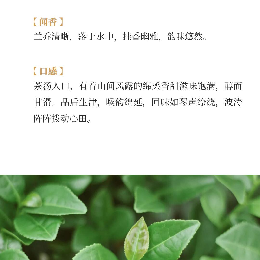【金奖配方】梅记·泰山峰 安溪铁观音炭焙乌龙茶人文礼盒