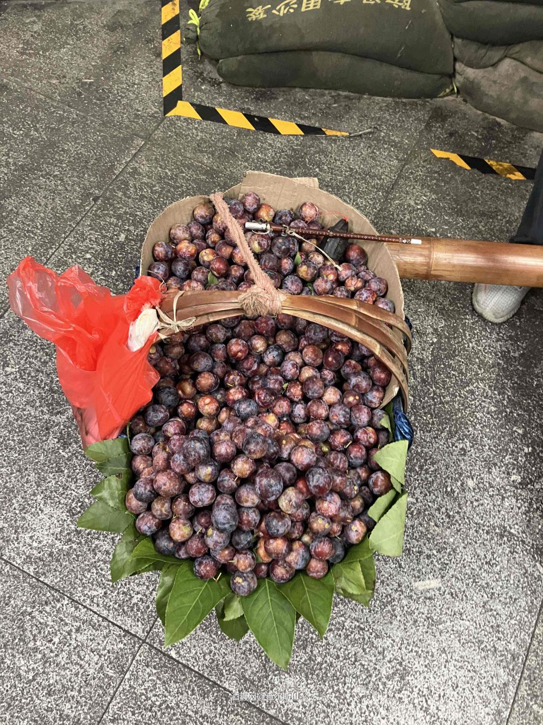 假期快乐！